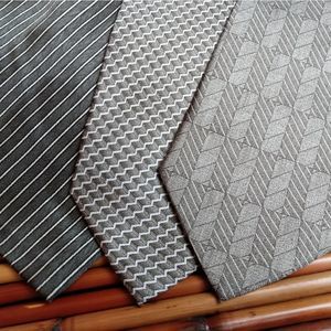 EUC Bundle of 3 LAUREN BENON Paris Gray Spectrum 100% Silk Ties